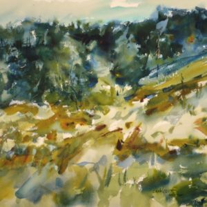 North Head Hillside