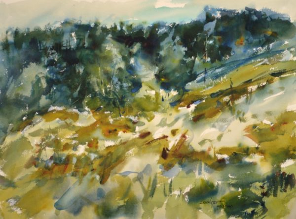 North Head Hillside