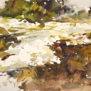 Snowbank