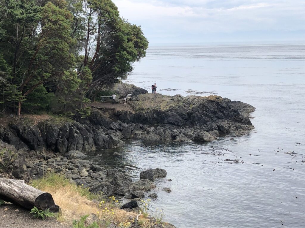 A rugged coastal scene on an overcast day. A rocky shoreline with dark, craggy rocks and a small beach on the left slopes down to calm grey-blue water. Lush green trees grow on the clifftop to the left. A large piece of driftwood rests in the foreground. Distant figures can be seen standing on the rocks. The far horizon shows the expanse of the ocean under a soft, cloudy sky.