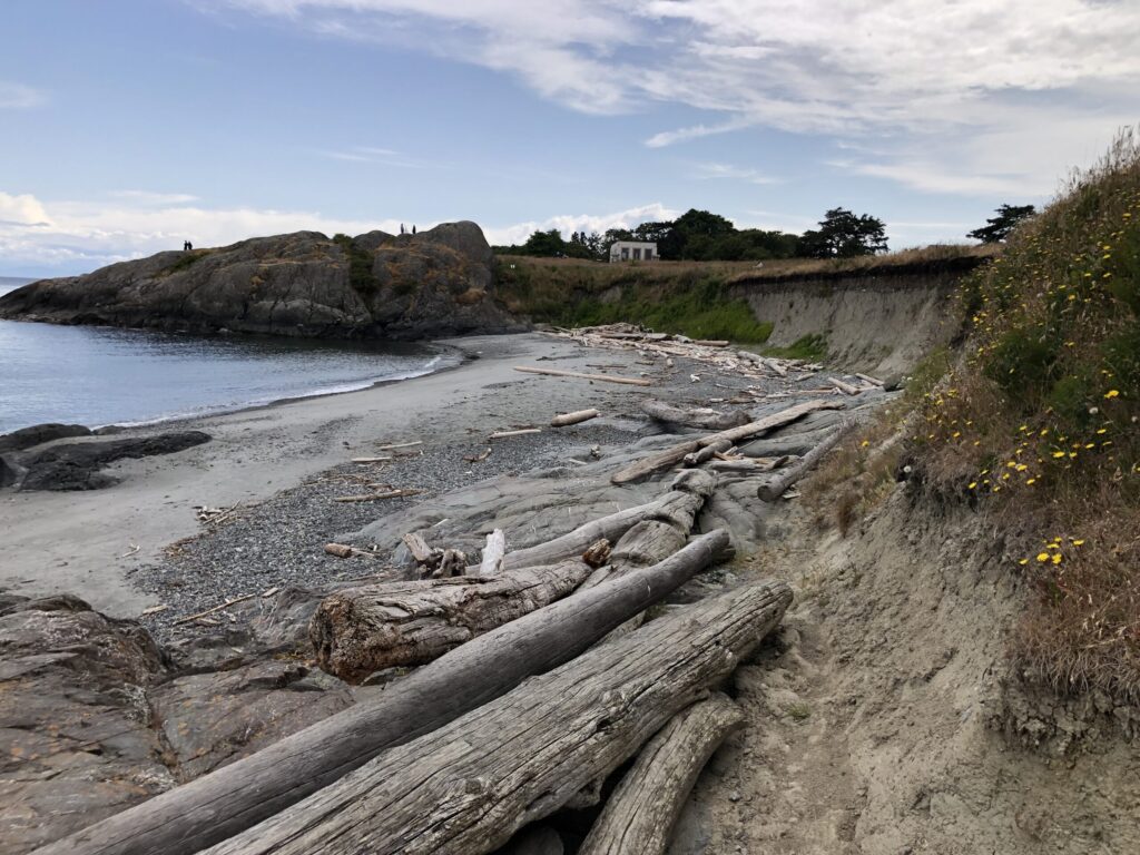 A scenic coastal view featuring a sandy and rocky beach covered in large pieces of driftwood, a rocky headland on the left, and an eroded grassy bluff on the right.