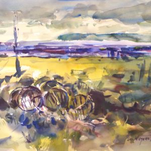 4312 Oyster Tubs, Soft Light, Original Watercolor Painting by Eric Wiegardt AWS-DF, NWS