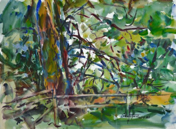 4586 Oysterville Woodland, Original Watercolor Painting by Eric Wiegardt AWS-DF, NWS