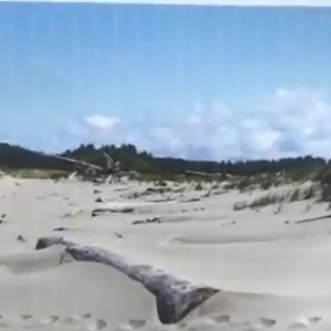 2023-06 Beach Scene Paint-Along visual reference