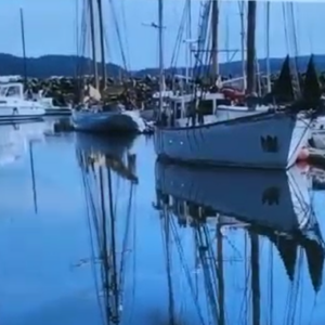 2023-07 Marine Harbor Paint-Along visual reference