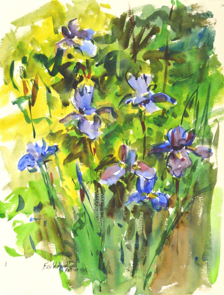 4071 Iris Study, Original Watercolor Painting by Eric Wiegardt AWS-DF, NWS