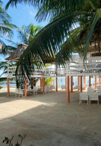 Beach chairs on the ground floor and upper decks near the ocean with palm trees surrounding.