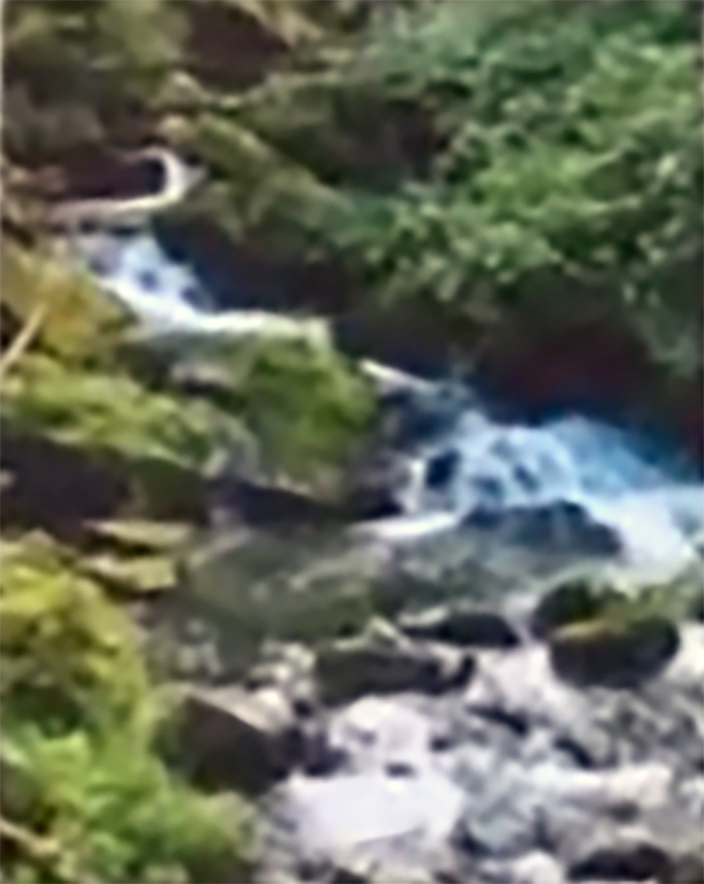 A reference photo depicting a small waterfall rushing over a rocky streambed, with vibrant green vegetation growing on its banks. The image captures the dynamic movement of the water and the textures of the natural environment.
