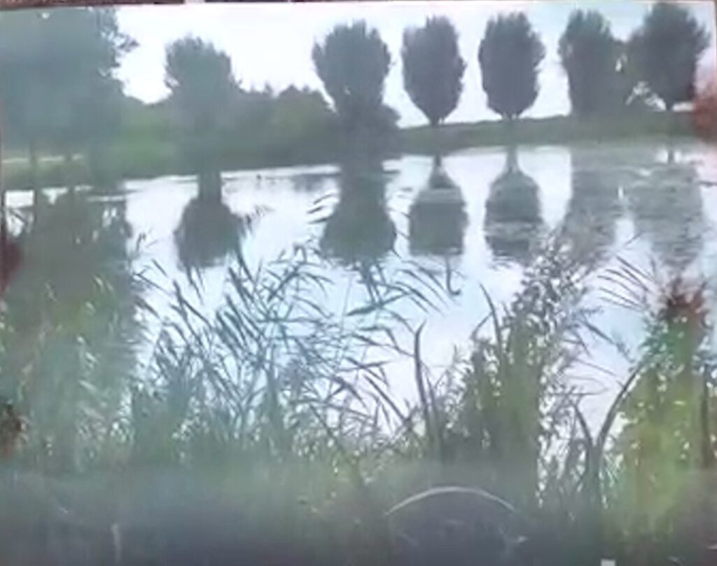 A tranquil view of a calm body of water, possibly a pond or a small lake. Tall reeds and grasses fill the foreground, while the still water in the middle ground perfectly reflects a row of evenly spaced trees on the opposite bank under a cloudy sky. The scene has a serene, natural feel.