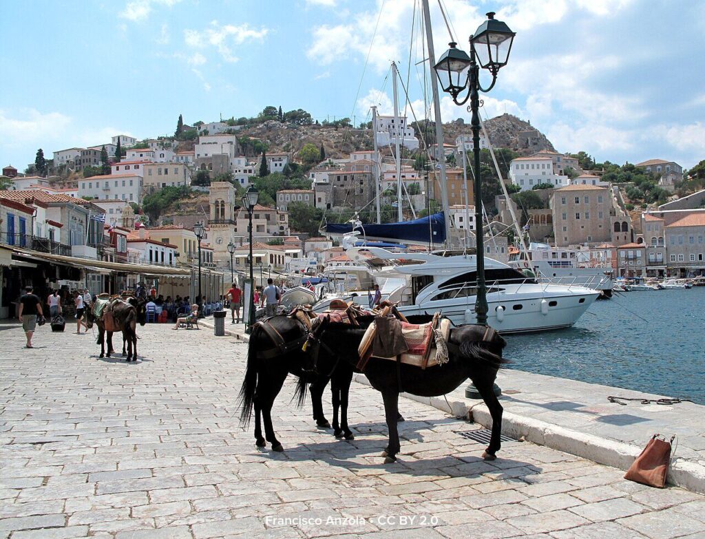 A lively harbor scene showing two horses with saddles standing on a cobblestone waterfront. In the background, a town climbs a steep hillside around the port, which is filled with docked boats and a large yacht.
