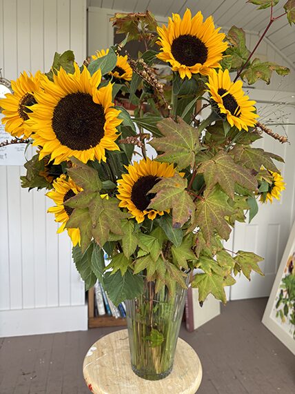 A tall, fluted glass vase filled with a bouquet of bright yellow sunflowers and large, multi-lobed maple leaves in shades of green and rust. The arrangement sits on a light-colored wooden stool against a backdrop of white vertical wood-paneled walls in an artist's studio.