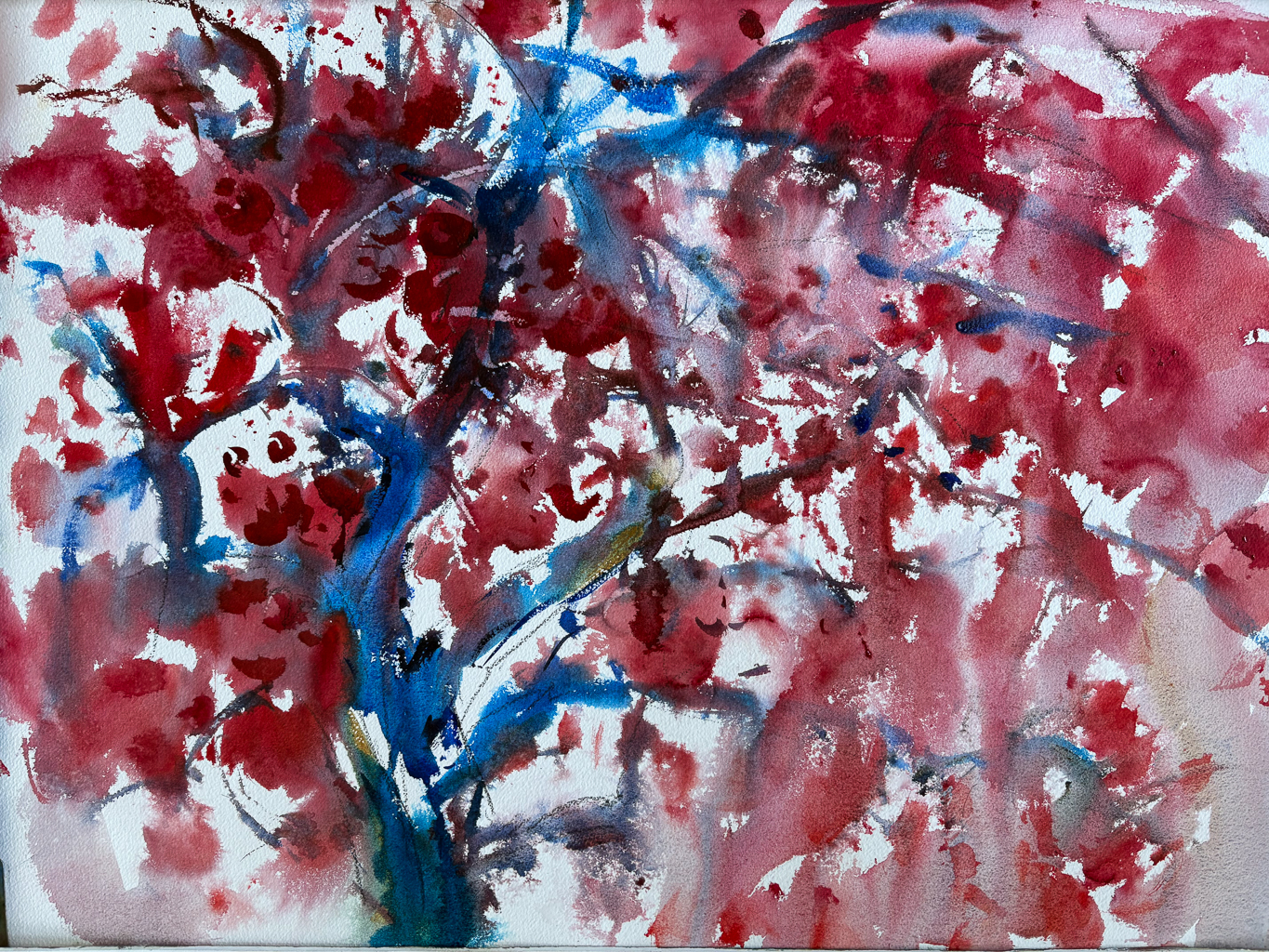 An abstract watercolor painting of a tree where the forms are blurred and bleeding together. Deep red and pink washes dominate the composition, representing the fruit and foliage, while the trunk is a thick, curved stroke of bright cerulean blue. The white of the paper peeks through to create high-contrast highlights.