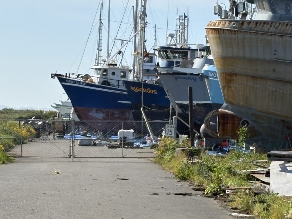 Photograph of commercial fishing boats hauled out in a boatyard, bows lined up in a row behind a chain-link fence. Named vessels including Sunset Charge and Rigorous show dark blue hulls with weathered red bottoms; a rusted steel hull looms at right under a pale sky.
