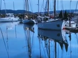 2023-07 Marine Harbor Paint-Along visual reference