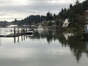 Calm waterfront scene with docks, moored boats, houses, and evergreen trees under an overcast sky, reflecting on the still water.